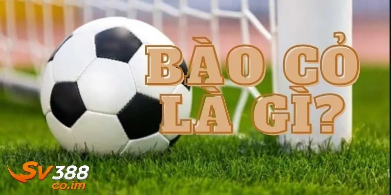 cach bao co bong da la gi giai thich khai niem va nguyen ly Cách bào cỏ bóng đá là gì ? Giải thích khái niệm và nguyên lý