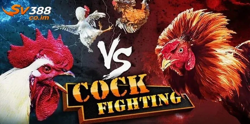 Sản phẩm và djch vụ độc đáo của SV388