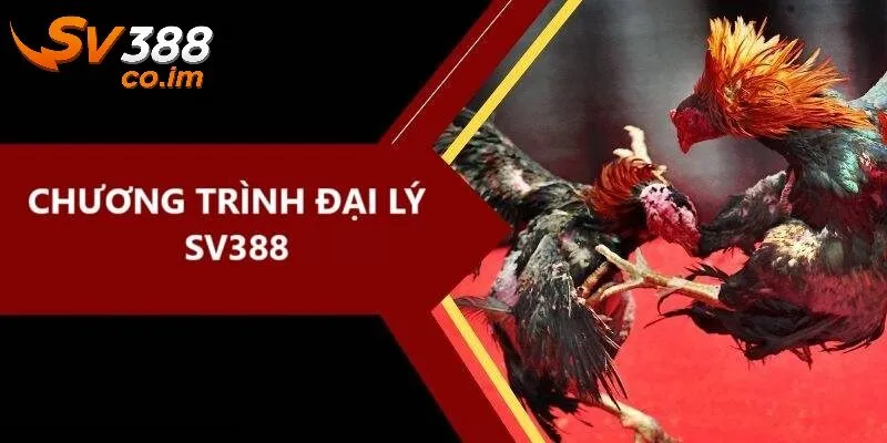 so sanh dai ly sv388 voi cac nen tang khac So sánh đại lý SV388 với các nền tảng khác