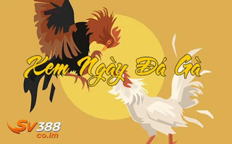 Tầm quan trọng của xem ngày đá gà sv388 trong cá cược