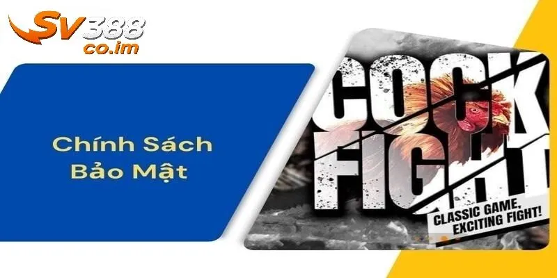 tong quan ve sanh ca cuoc sv388 Tổng quan về sảnh cá cược SV388